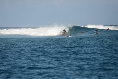 DSC_0538.JPG