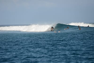 DSC_0539.JPG