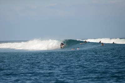 DSC_0540.JPG
