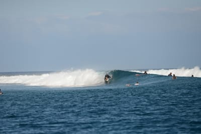 DSC_0541.JPG