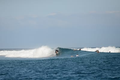 DSC_0542.JPG