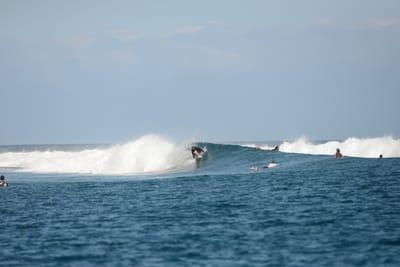 DSC_0543.JPG