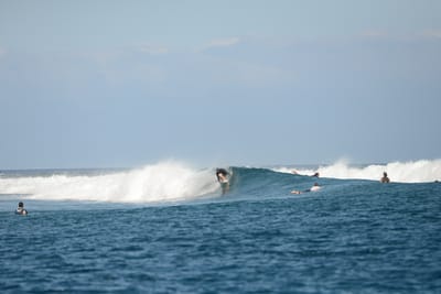 DSC_0544.JPG