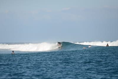 DSC_0545.JPG