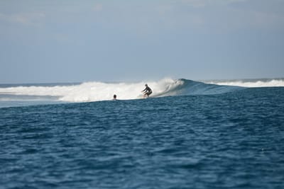 DSC_0546.JPG