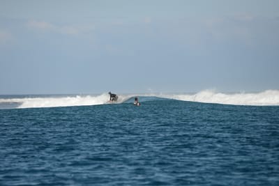 DSC_0549.JPG