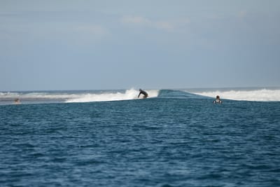 DSC_0550.JPG
