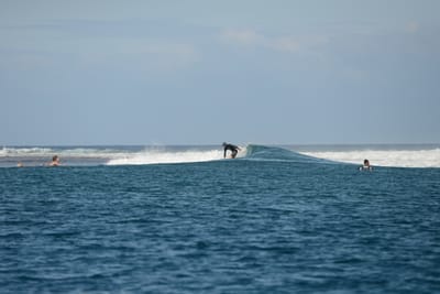 DSC_0551.JPG