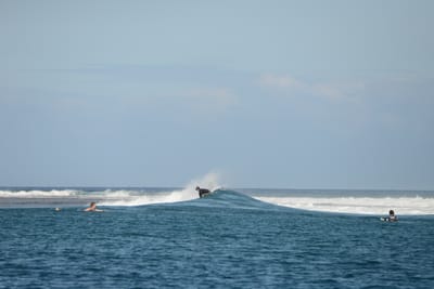 DSC_0552.JPG
