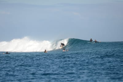 DSC_0727.JPG