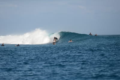 DSC_0728.JPG