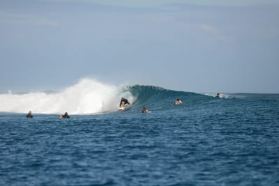 DSC_0729.JPG