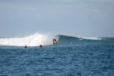 DSC_0730.JPG