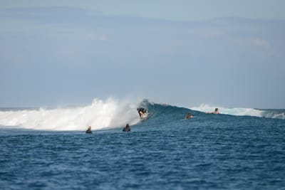DSC_0731.JPG