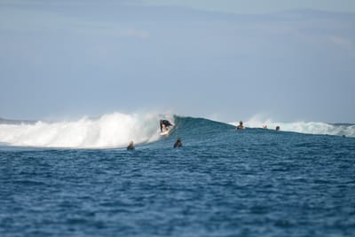 DSC_0732.JPG