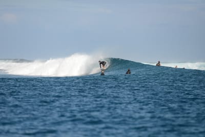 DSC_0733.JPG
