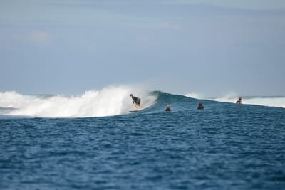 DSC_0734.JPG
