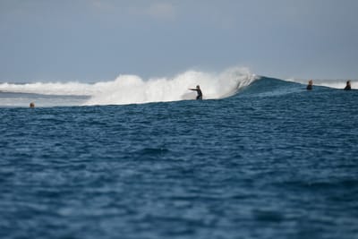 DSC_0735.JPG