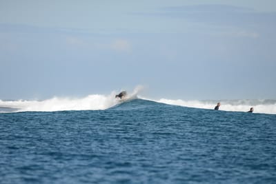 DSC_0736.JPG