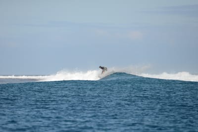 DSC_0737.JPG