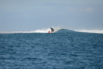 DSC_0738.JPG