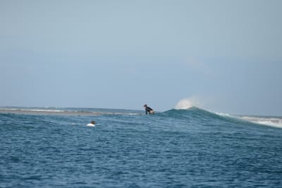 DSC_0739.JPG