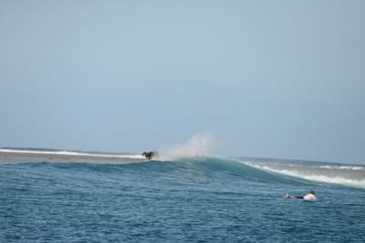 DSC_0740.JPG