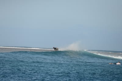 DSC_0741.JPG