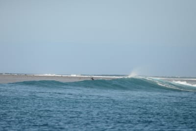 DSC_0742.JPG