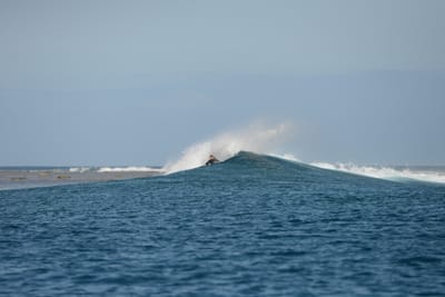 DSC_0743.JPG