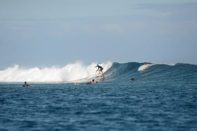 DSC_0763.JPG
