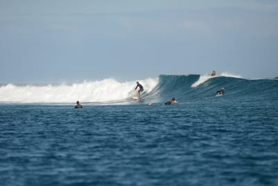 DSC_0764.JPG
