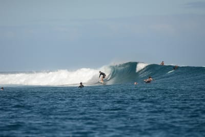DSC_0765.JPG