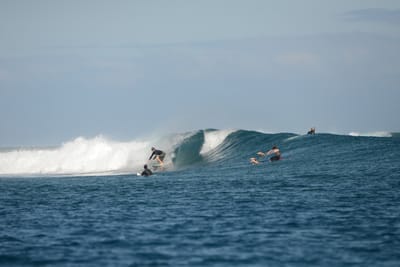 DSC_0766.JPG