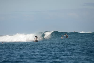 DSC_0767.JPG
