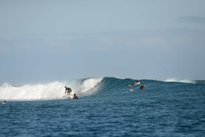 DSC_0768.JPG