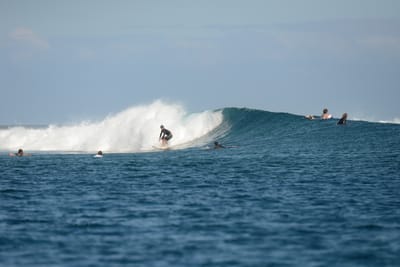 DSC_0769.JPG