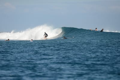 DSC_0770.JPG