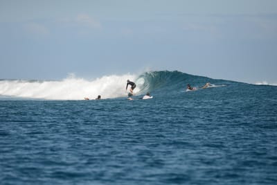 DSC_0772.JPG