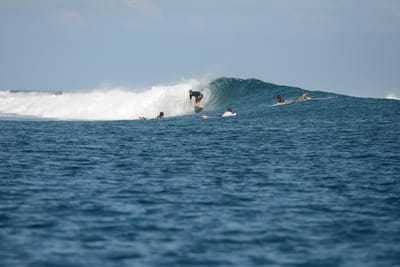DSC_0773.JPG