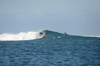 DSC_0774.JPG
