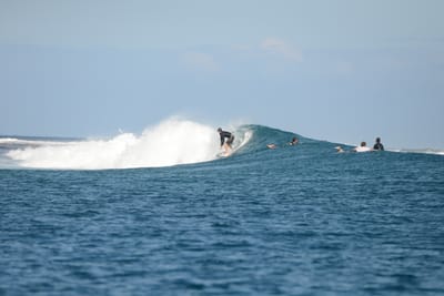 DSC_0775.JPG