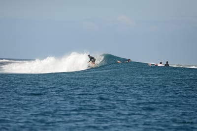 DSC_0776.JPG