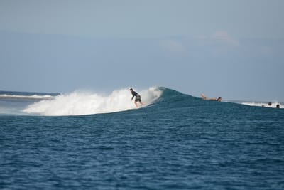 DSC_0777.JPG