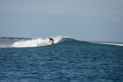 DSC_0778.JPG