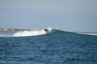 DSC_0779.JPG