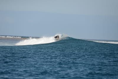 DSC_0780.JPG
