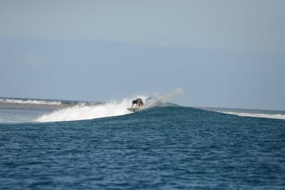 DSC_0781.JPG