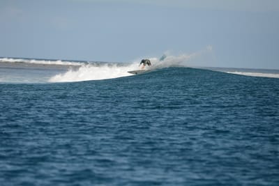 DSC_0782.JPG