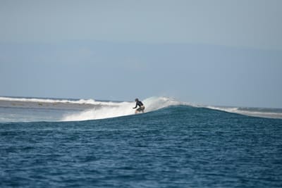 DSC_0783.JPG